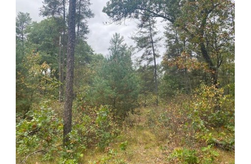 520 Regal Forest Trail, Nekoosa, WI 54457