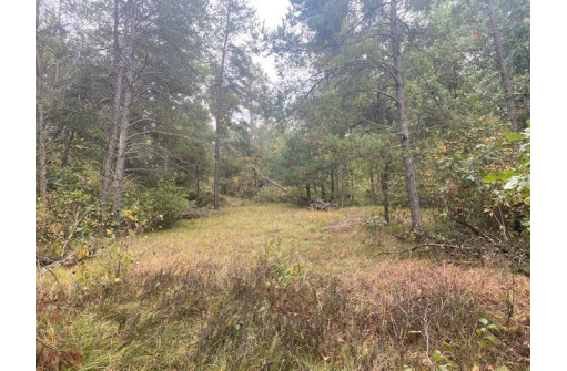 520 Regal Forest Trail, Nekoosa, WI 54457