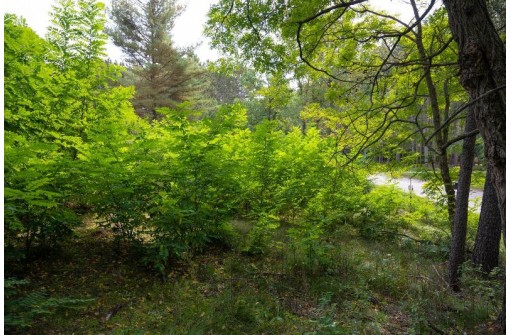 LOT 9 Yellow Thunder Trail, Baraboo, WI 53913