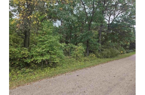 LOT 7 Carson Heights Road, Mauston, WI 53948