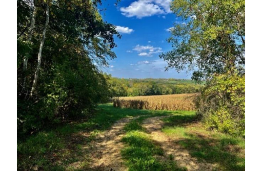 N8250 Marty Road, New Glarus, WI 53574