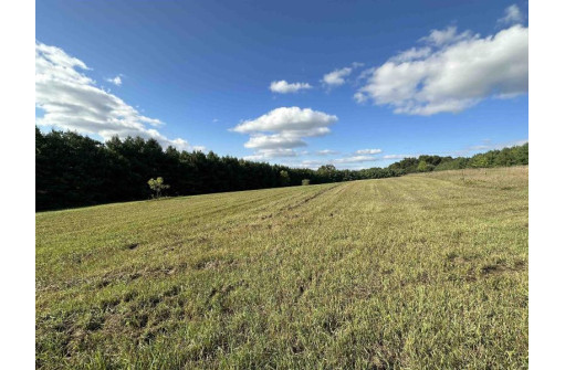 LOT 1 Ben Franklin Street, Verona, WI 53593