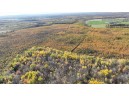 40ACRES MOL Dicus Road, Ladysmith, WI 54848