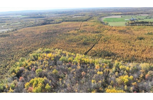 40ACRES MOL Dicus Road, Ladysmith, WI 54848