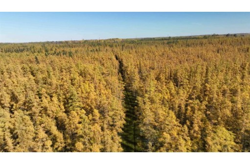 40ACRES MOL Dicus Road, Ladysmith, WI 54848