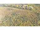 40ACRES MOL Dicus Road, Ladysmith, WI 54848