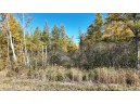 40ACRES MOL Dicus Road, Ladysmith, WI 54848