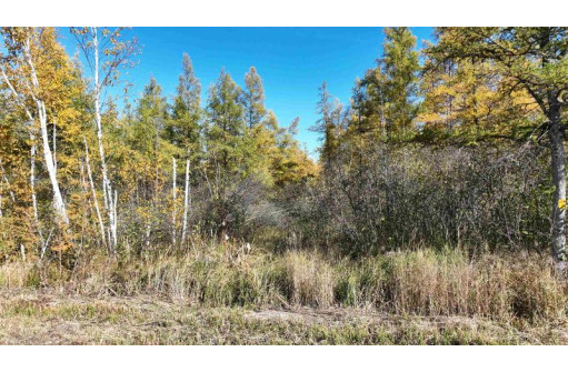 40ACRES MOL Dicus Road, Ladysmith, WI 54848