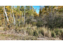 40ACRES MOL Dicus Road, Ladysmith, WI 54848