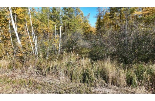 40ACRES MOL Dicus Road, Ladysmith, WI 54848