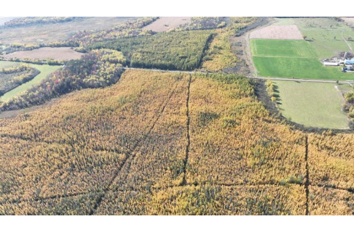 40ACRES MOL Dicus Road, Ladysmith, WI 54848