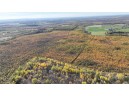 40ACRES MOL Dicus Road, Ladysmith, WI 54848