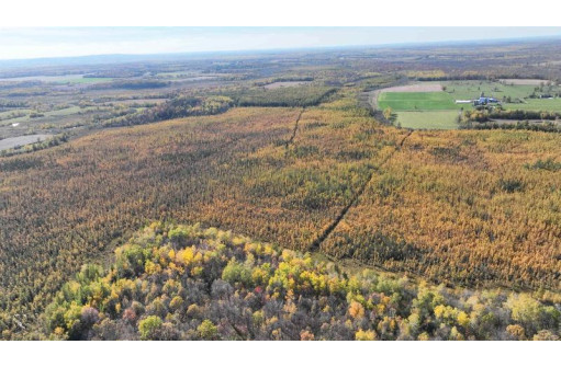 40ACRES MOL Dicus Road, Ladysmith, WI 54848