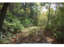 17.63 ACRES Biglow Hill Road, Avoca, WI 53506