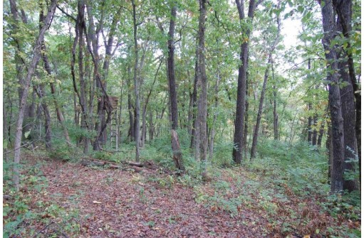 17.63 ACRES Biglow Hill Road, Avoca, WI 53506