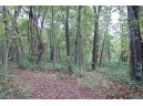 17.63 ACRES Biglow Hill Road, Avoca, WI 53506