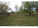 LOT 11 Mary Lane, Brodhead, WI 53520-9999