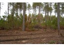 LOT 2 Bollig Court, Nekoosa, WI 54457