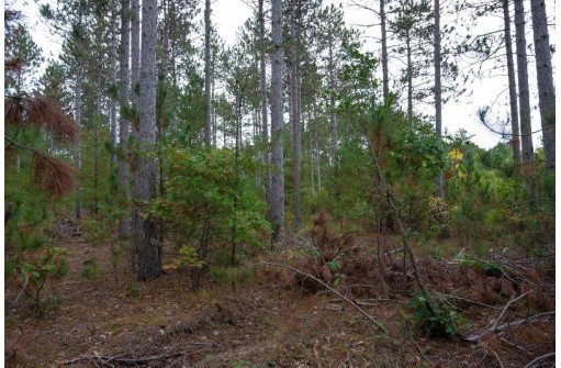 LOT 2 Bollig Court, Nekoosa, WI 54457