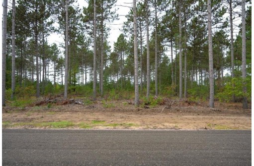 LOT 2 Bollig Court, Nekoosa, WI 54457