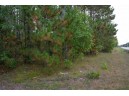 LOT 2 Bollig Court, Nekoosa, WI 54457