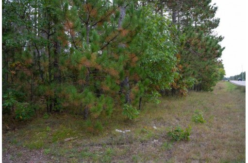 LOT 2 Bollig Court, Nekoosa, WI 54457