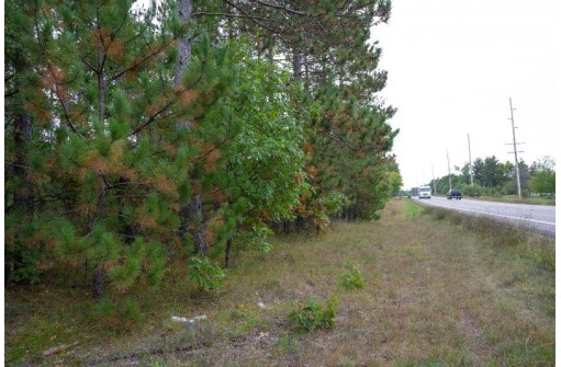 LOT 2 Bollig Court, Nekoosa, WI 54457