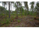 LOT 2 Bollig Court, Nekoosa, WI 54457