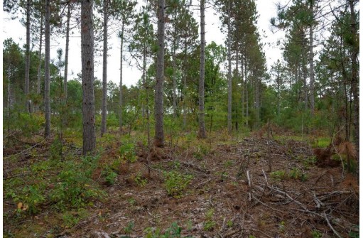 LOT 2 Bollig Court, Nekoosa, WI 54457