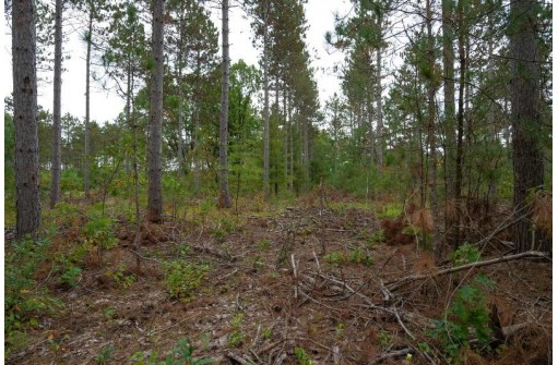 LOT 2 Bollig Court, Nekoosa, WI 54457