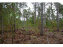 LOT 2 Bollig Court, Nekoosa, WI 54457