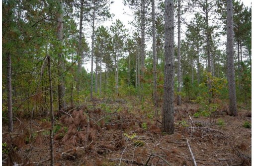 LOT 2 Bollig Court, Nekoosa, WI 54457