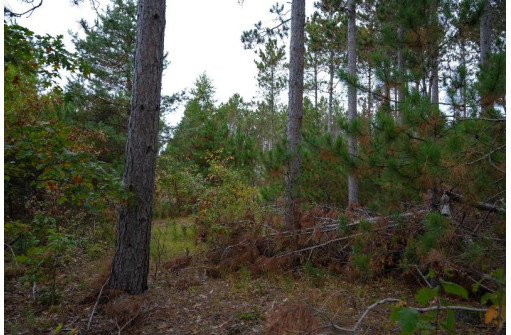 LOT 2 Bollig Court, Nekoosa, WI 54457