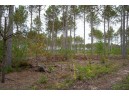 LOT 2 Bollig Court, Nekoosa, WI 54457