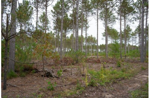 LOT 2 Bollig Court, Nekoosa, WI 54457