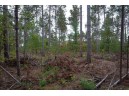 LOT 2 Bollig Court, Nekoosa, WI 54457