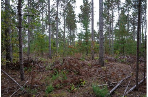 LOT 2 Bollig Court, Nekoosa, WI 54457