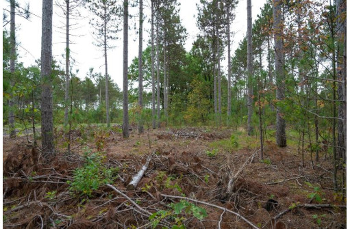 LOT 2 Bollig Court, Nekoosa, WI 54457