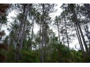 LOT 2 Bollig Court, Nekoosa, WI 54457