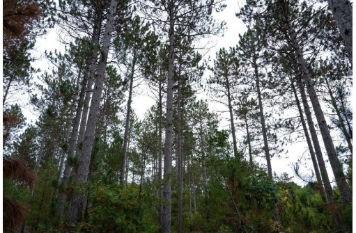 LOT 2 Bollig Court, Nekoosa, WI 54457