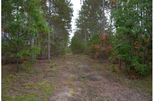 LOT 2 Bollig Court, Nekoosa, WI 54457