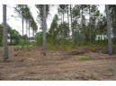 LOT 2 Bollig Court, Nekoosa, WI 54457