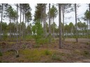 LOT 2 Bollig Court, Nekoosa, WI 54457