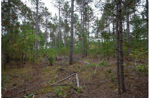 LOT 2 Bollig Court, Nekoosa, WI 54457