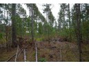 LOT 2 Bollig Court, Nekoosa, WI 54457