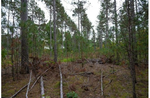 LOT 2 Bollig Court, Nekoosa, WI 54457