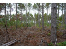 LOT 2 Bollig Court, Nekoosa, WI 54457