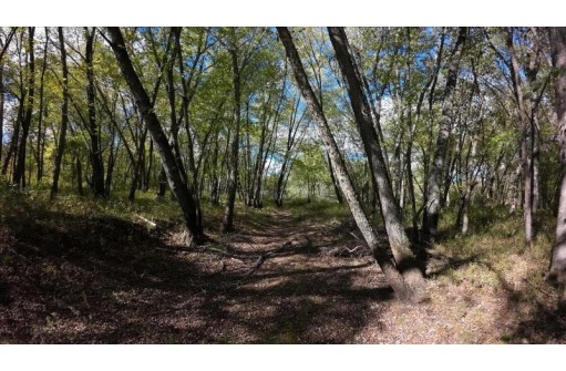 70 ACRES 12th Avenue, Necedah, WI 54646