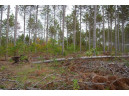 LOT 3 Bollig Court, Nekoosa, WI 54457