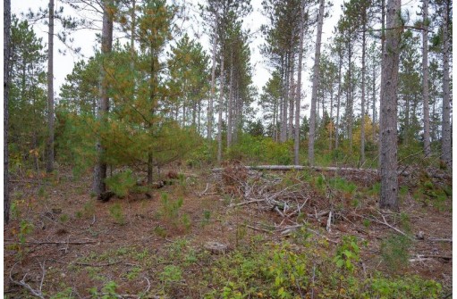 LOT 3 Bollig Court, Nekoosa, WI 54457